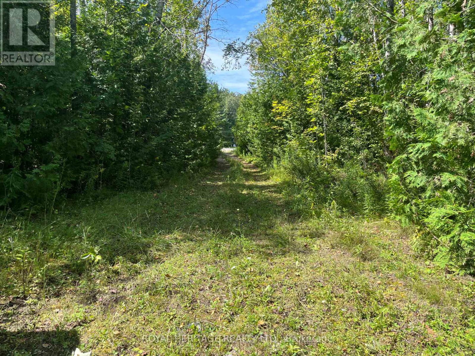 0 Sumcot Drive, Trent Lakes, Ontario  K9J 6X2 - Photo 4 - X12186979