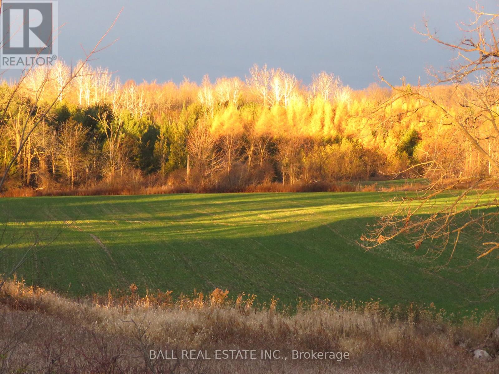 256 8th Line S Dummer, Douro-Dummer, Ontario  K0L 1V0 - Photo 7 - X12188257