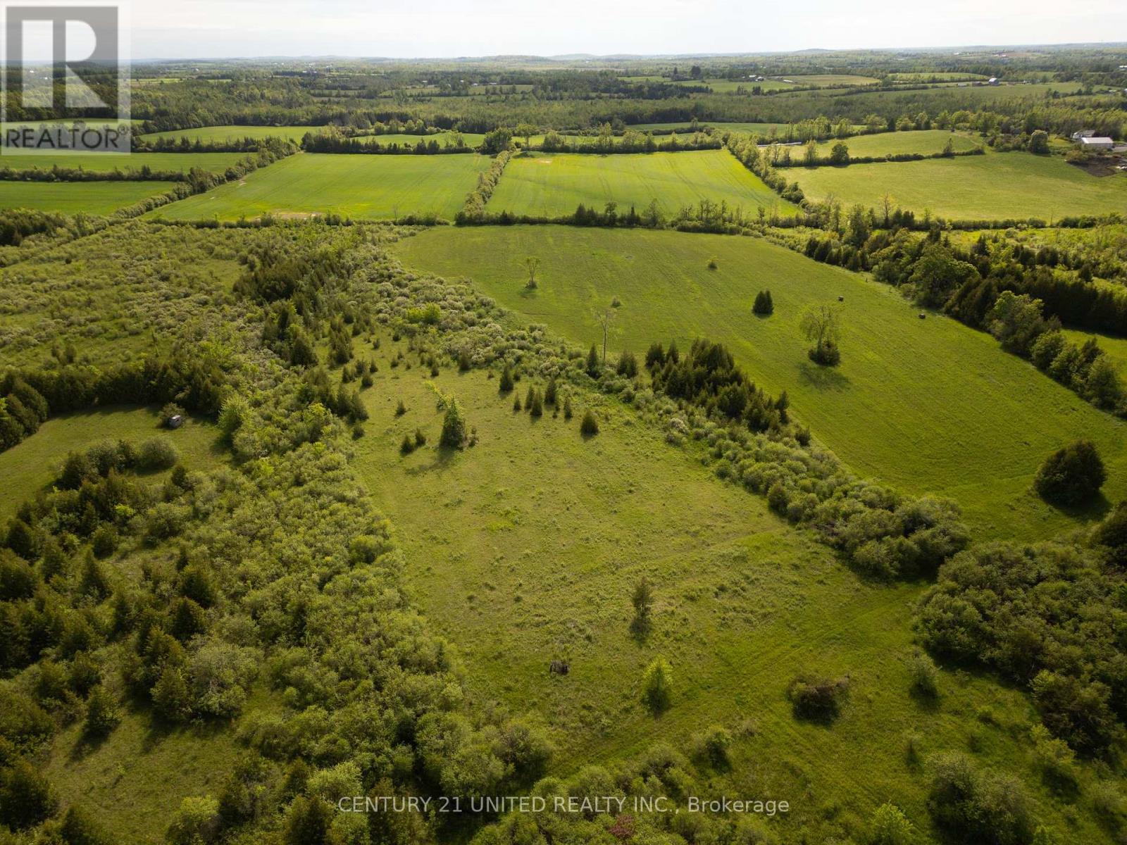 1684 6th Line, Selwyn, Ontario  K9J 6X5 - Photo 47 - X12188868