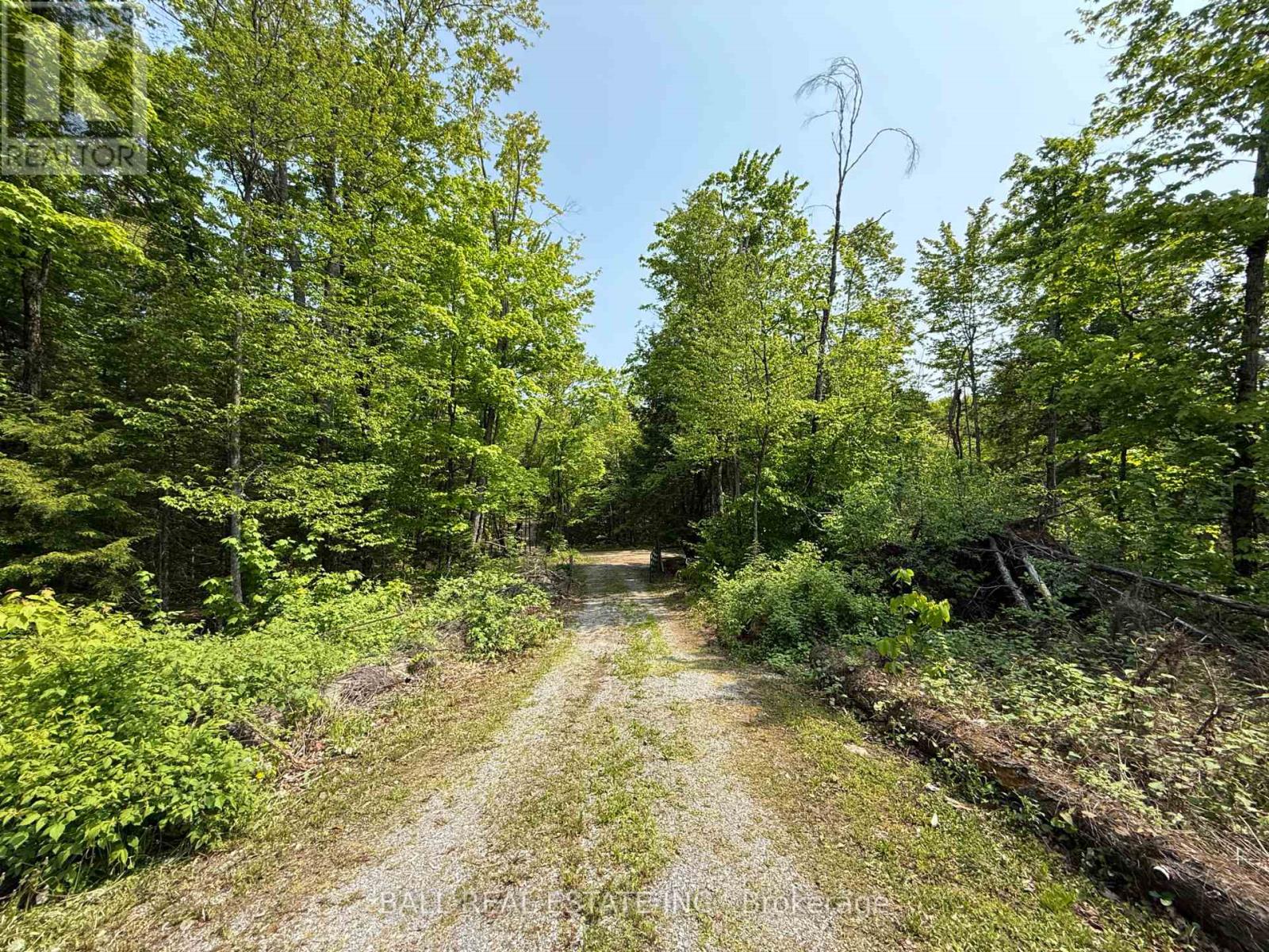 1854 The South Road, Wollaston, Ontario  K0L 1P0 - Photo 18 - X12190059