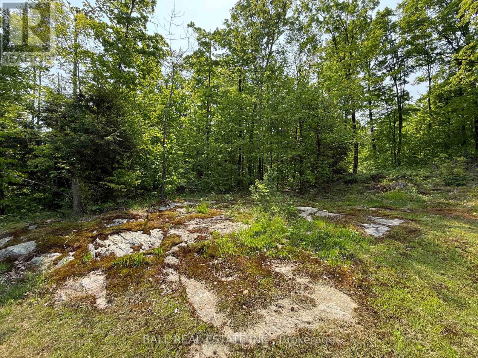 1854 The South Road, Wollaston, Ontario  K0L 1P0 - Photo 22 - X12190059