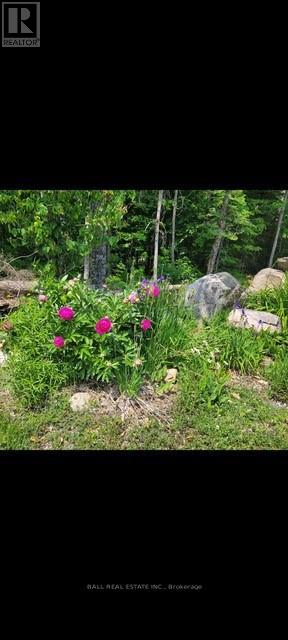 1854 The South Road, Wollaston, Ontario  K0L 1P0 - Photo 28 - X12190059