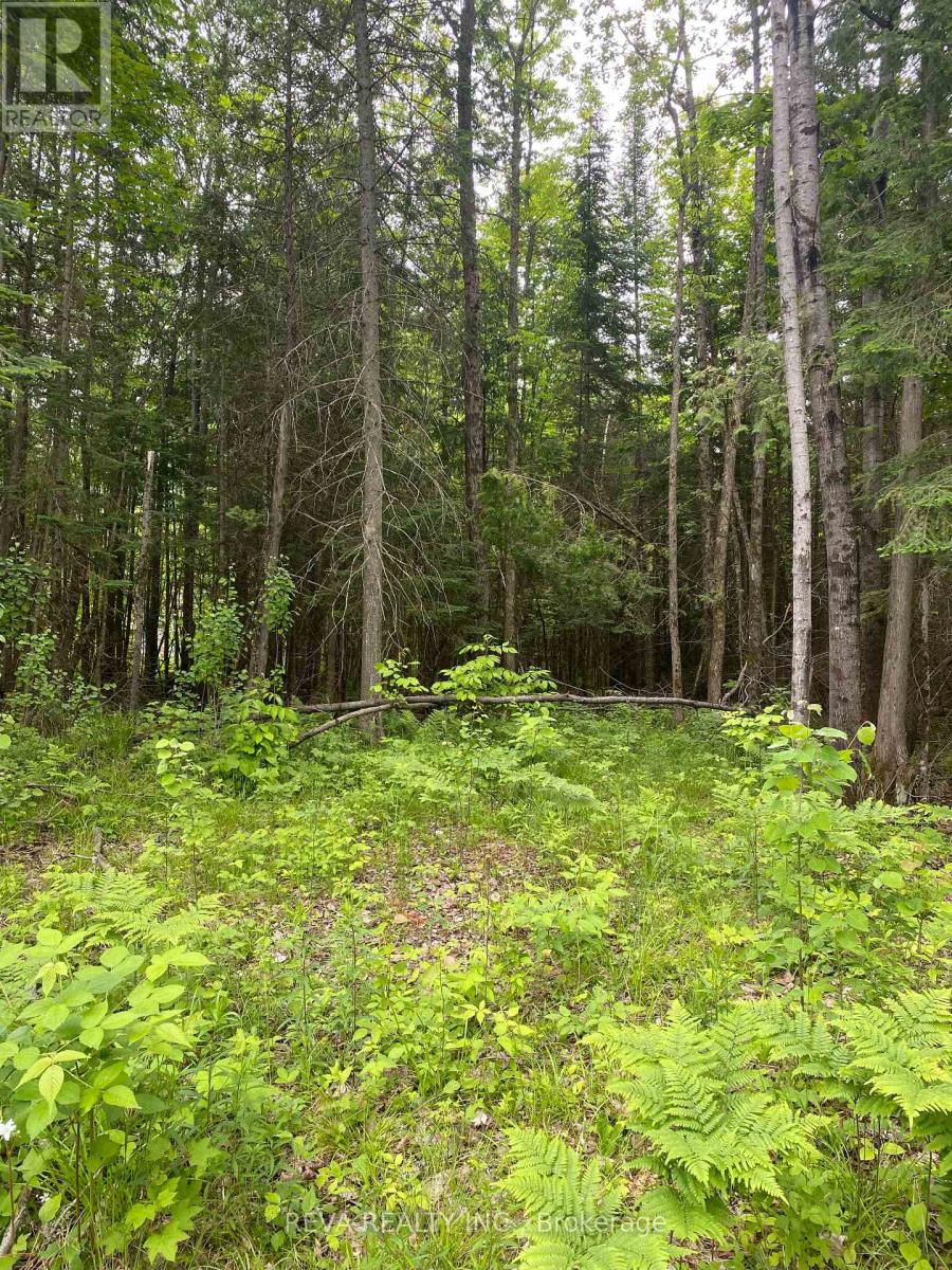 1755 South Baptiste Lake Road, Hastings Highlands (Herschel Ward), Ontario  K0L 1C0 - Photo 11 - X12190458