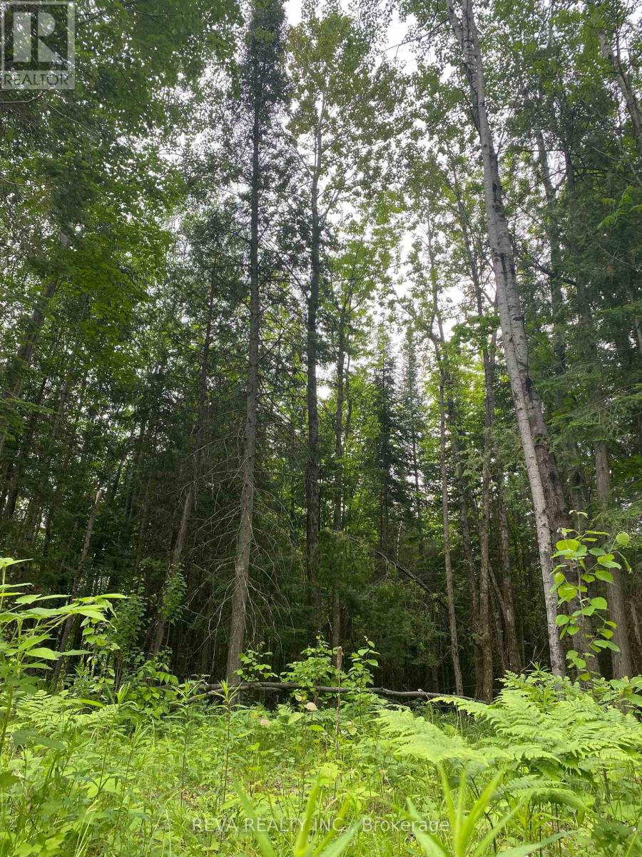 1755 South Baptiste Lake Road, Hastings Highlands (Herschel Ward), Ontario  K0L 1C0 - Photo 12 - X12190458