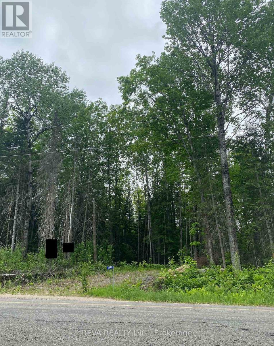 1755 South Baptiste Lake Road, Hastings Highlands (Herschel Ward), Ontario  K0L 1C0 - Photo 13 - X12190458