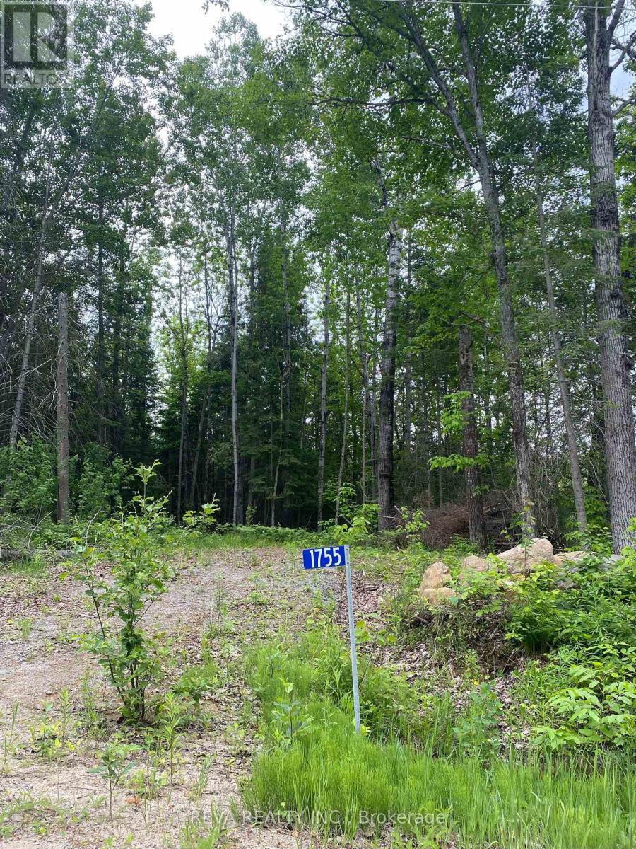 1755 South Baptiste Lake Road, Hastings Highlands (Herschel Ward), Ontario  K0L 1C0 - Photo 8 - X12190458
