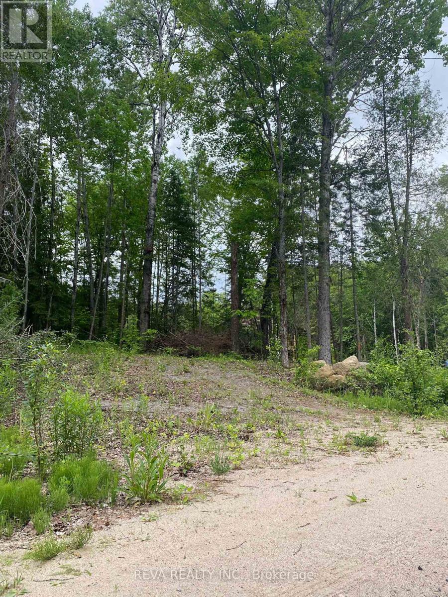 1755 South Baptiste Lake Road, Hastings Highlands (Herschel Ward), Ontario  K0L 1C0 - Photo 9 - X12190458