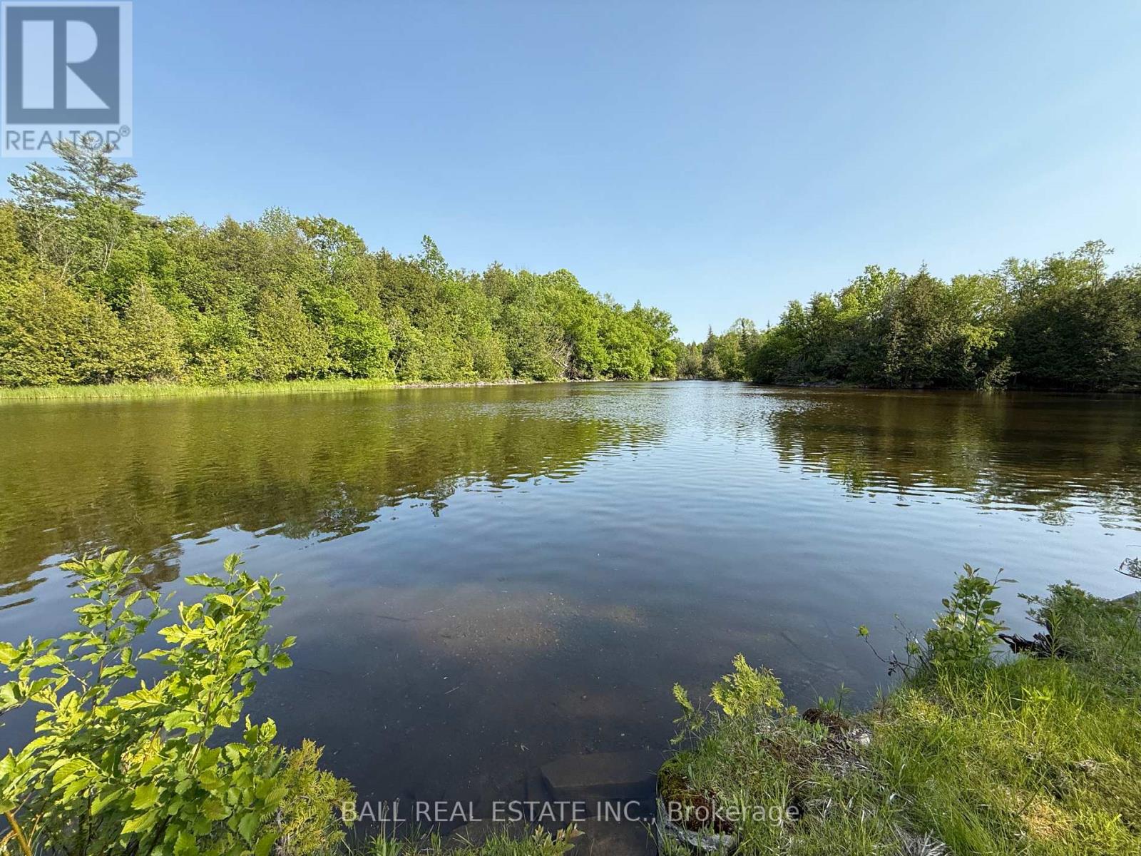 491 Sawmill Road, Douro-Dummer, Ontario  K0L 2H0 - Photo 10 - X12191262