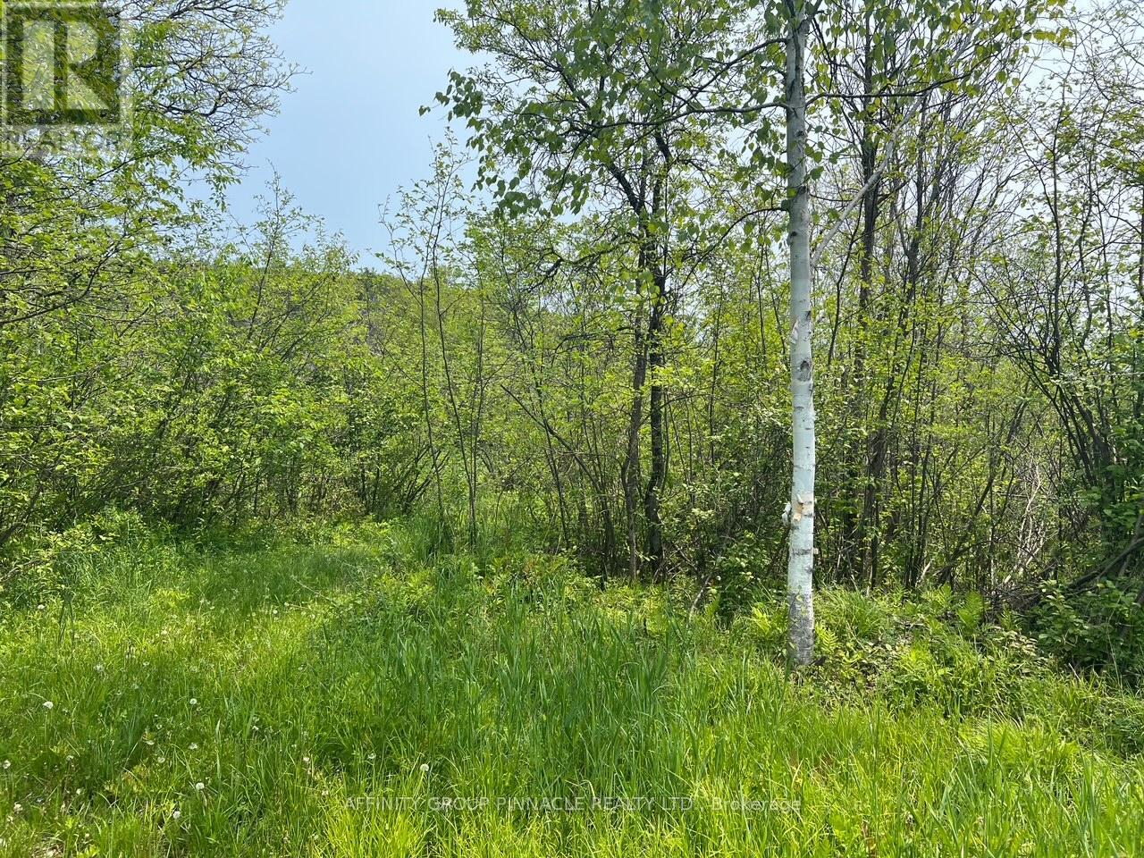 0 Trout Creek Lane, Bancroft, Ontario  K0L 1C0 - Photo 4 - X12191988
