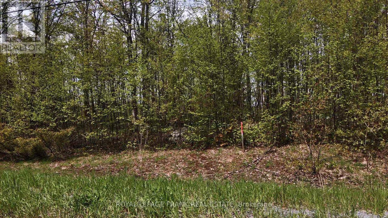 00 Birchview Road, Douro-Dummer, Ontario  K0L 2H0 - Photo 6 - X12192694