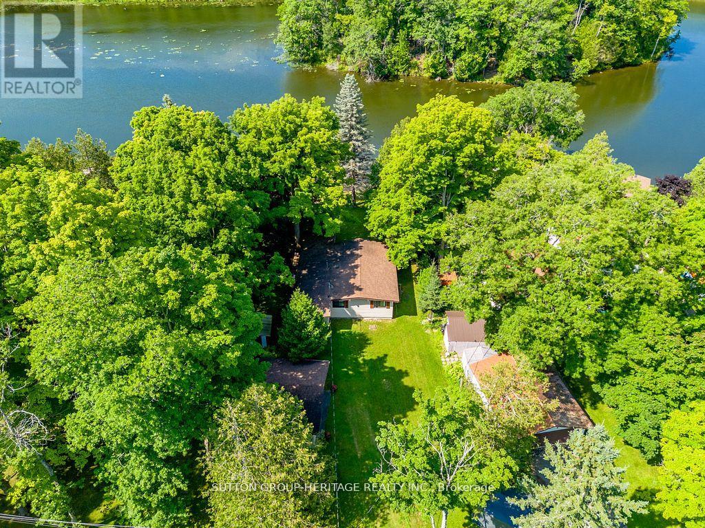 142 Cedar Shores Drive, Trent Hills, Ontario  K0L 1Z0 - Photo 5 - X12192643