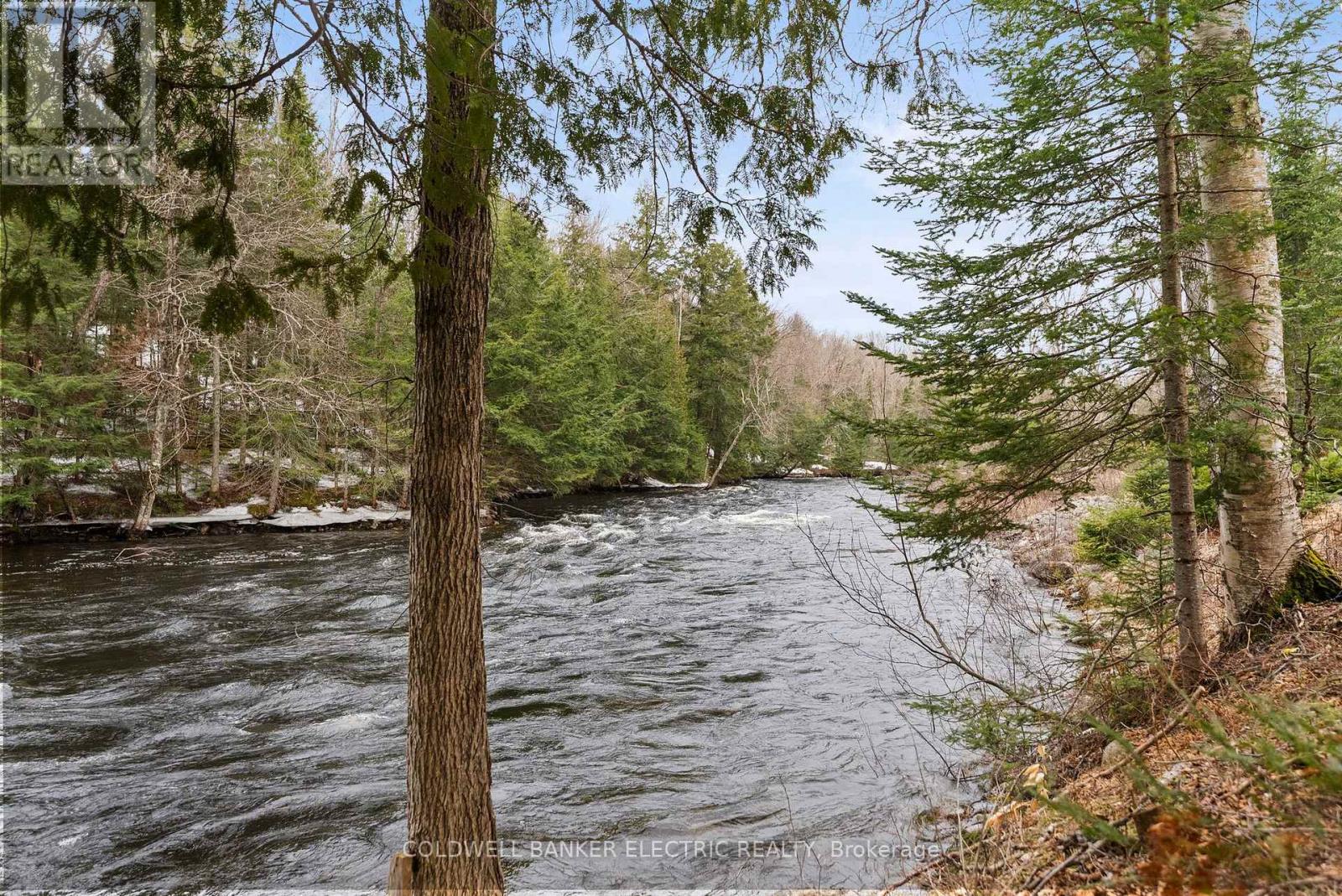 2313 The South Road, Marmora And Lake (Lake Ward), Ontario  K0L 1P0 - Photo 31 - X12193572