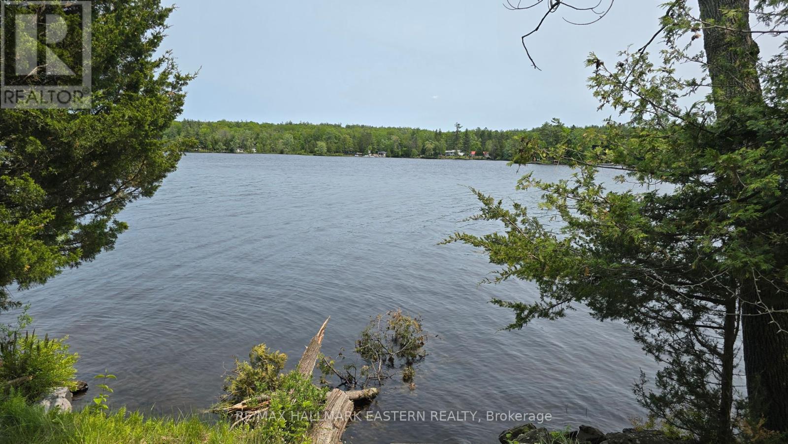 280 Big Island, Havelock-Belmont-Methuen (Belmont-Methuen), Ontario  K0L 1Z0 - Photo 10 - X12194435