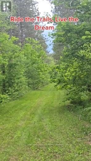 398 Sandy Hook Road, Kawartha Lakes (Manvers), Ontario  L0A 1K0 - Photo 49 - X12195244