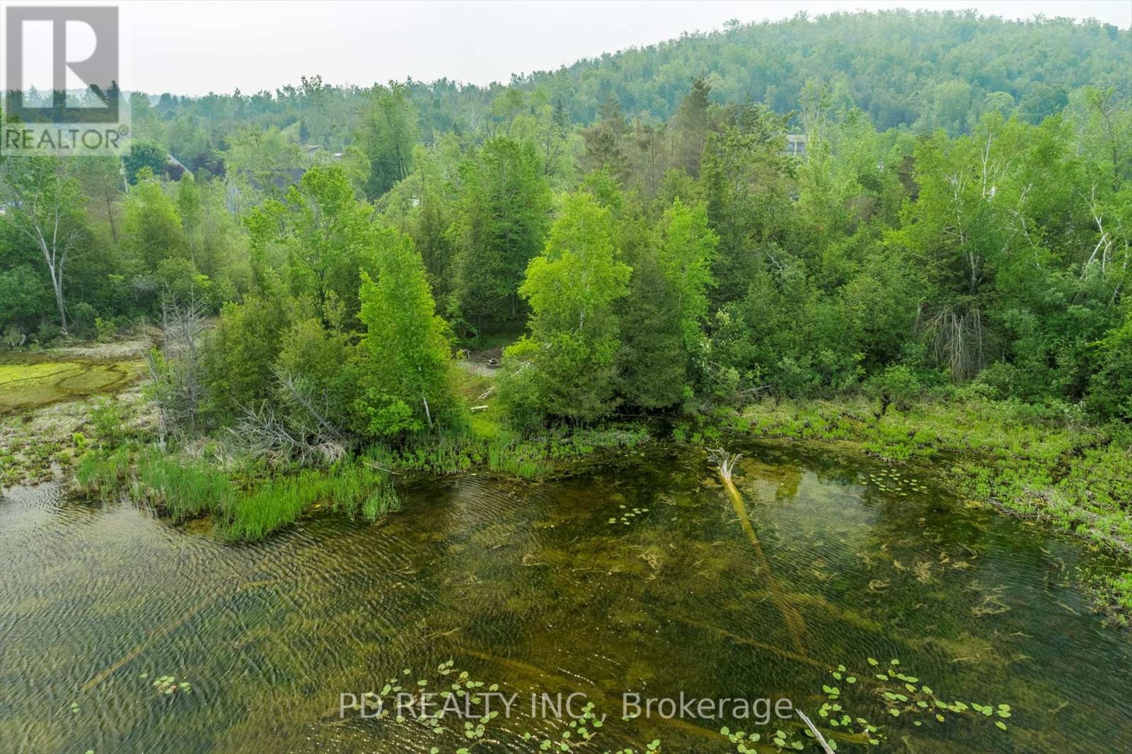 22 Helen Drive, Kawartha Lakes (Emily), Ontario  K0L 2W0 - Photo 36 - X12197614