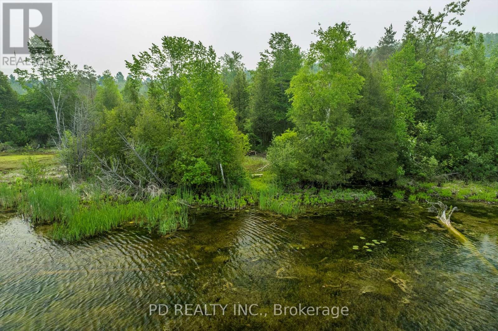 22 Helen Drive, Kawartha Lakes (Emily), Ontario  K0L 2W0 - Photo 37 - X12197614