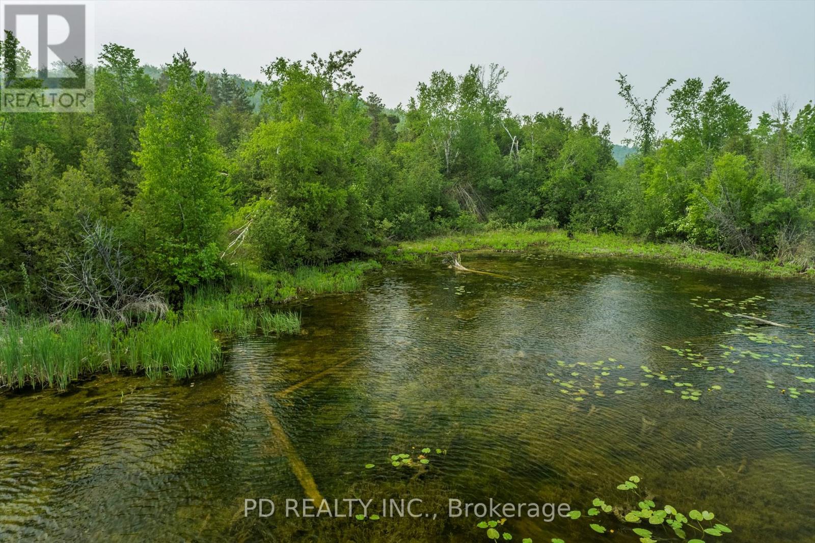 22 Helen Drive, Kawartha Lakes (Emily), Ontario  K0L 2W0 - Photo 39 - X12197614