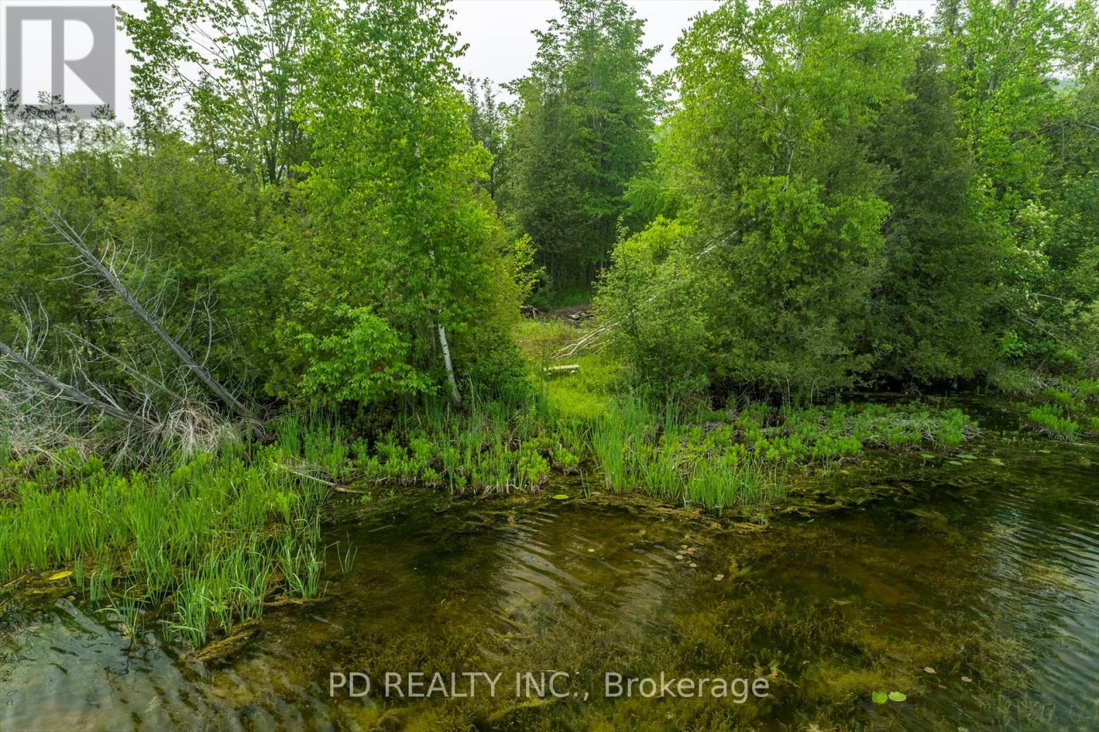 22 Helen Drive, Kawartha Lakes (Emily), Ontario  K0L 2W0 - Photo 40 - X12197614