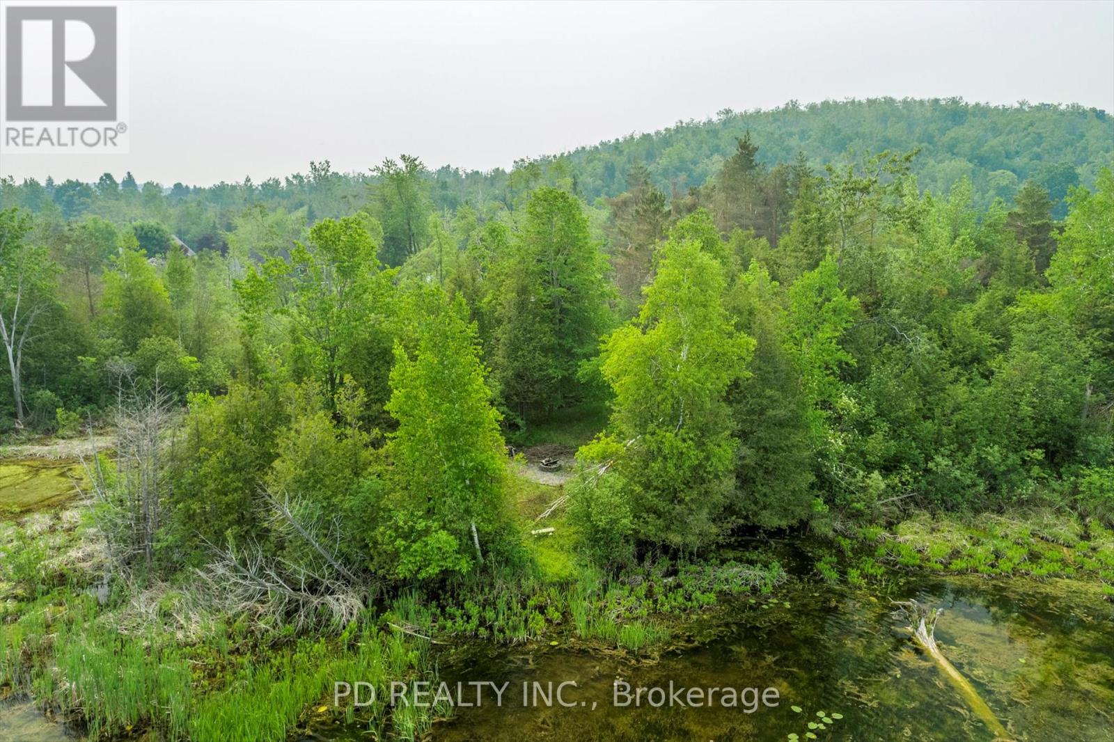 22 Helen Drive, Kawartha Lakes (Emily), Ontario  K0L 2W0 - Photo 41 - X12197614
