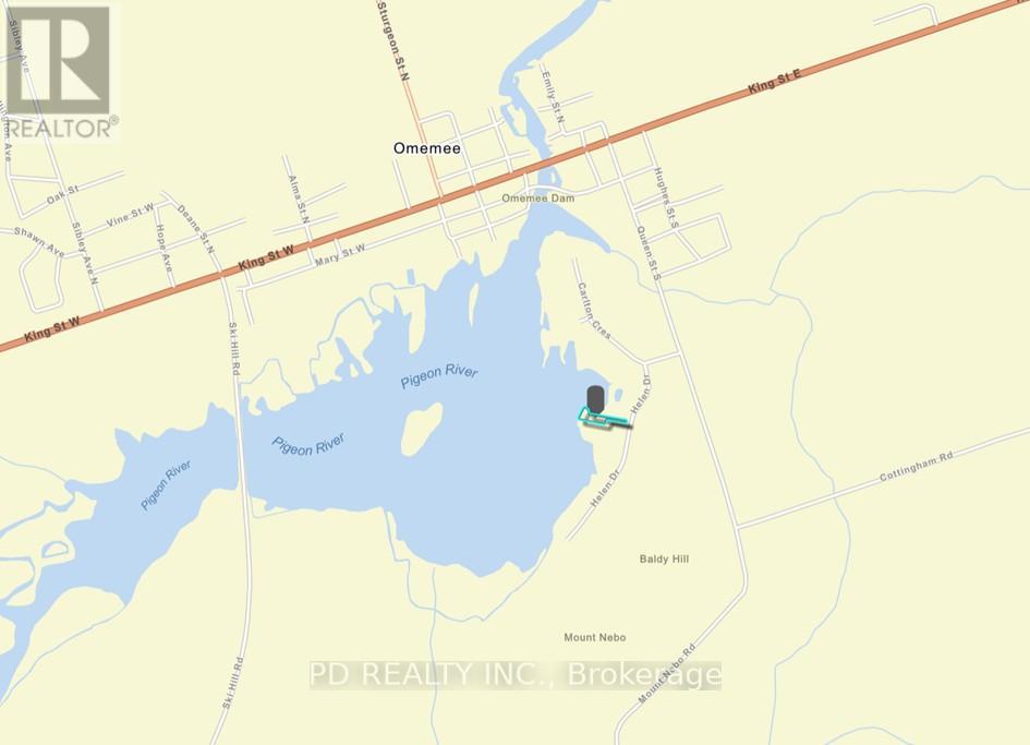 22 Helen Drive, Kawartha Lakes (Emily), Ontario  K0L 2W0 - Photo 43 - X12197614