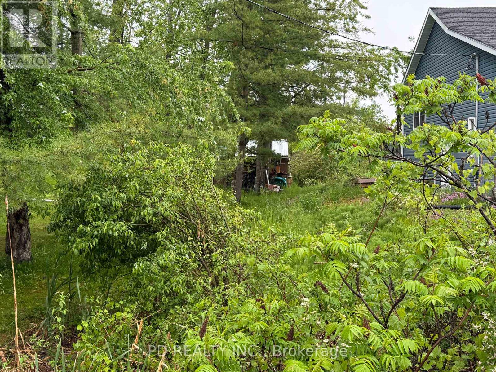 22 Helen Drive, Kawartha Lakes (Emily), Ontario  K0L 2W0 - Photo 5 - X12197614