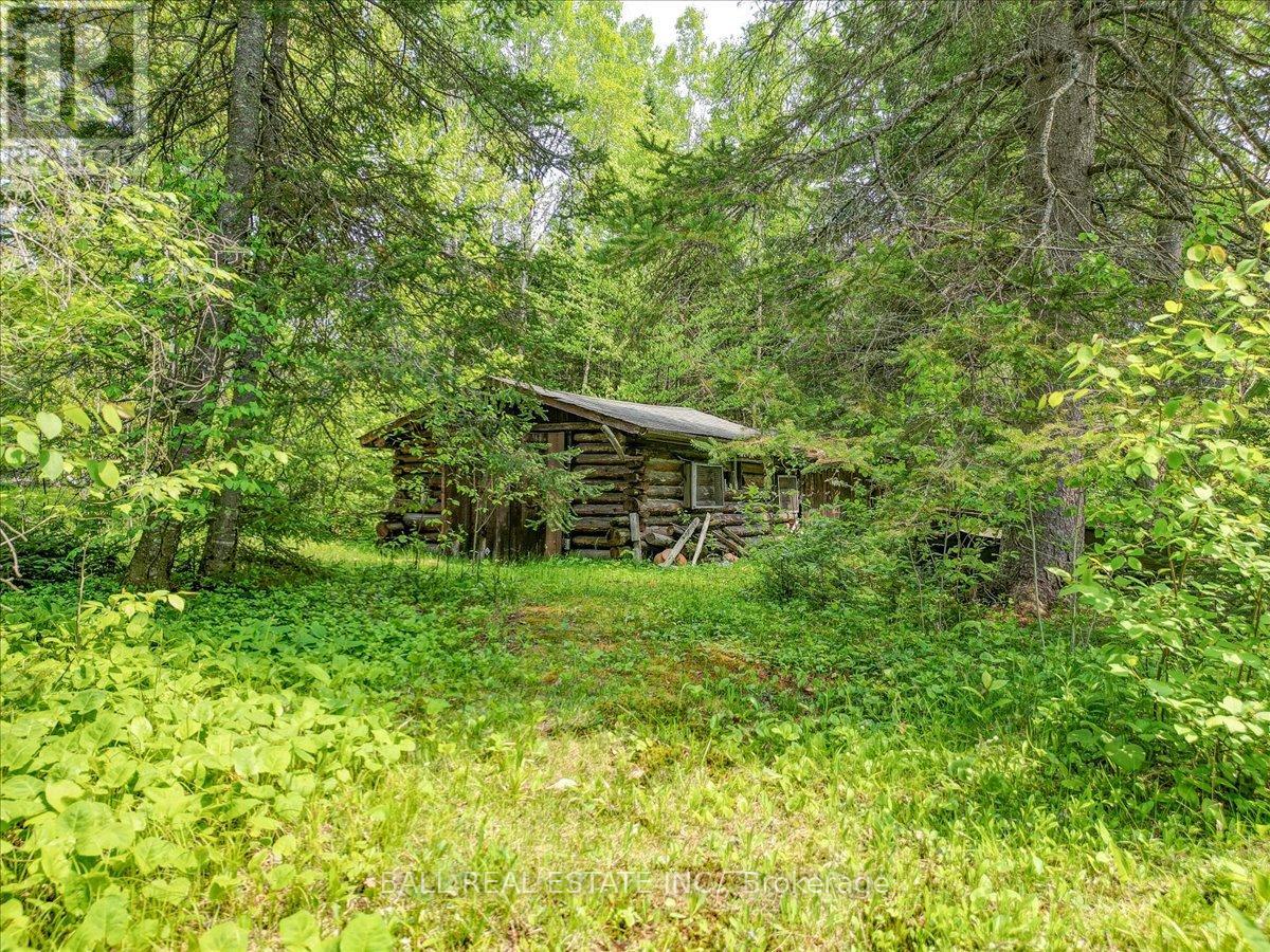 31104 Highway 62 North, Bancroft, Ontario  K0L 1C0 - Photo 14 - X12198491