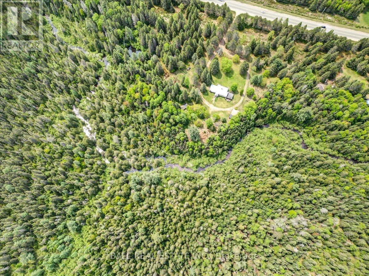 31104 Highway 62 North, Bancroft, Ontario  K0L 1C0 - Photo 5 - X12198491