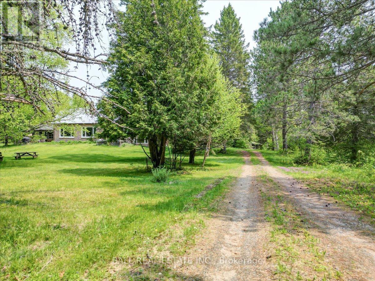 31104 Highway 62 North, Bancroft, Ontario  K0L 1C0 - Photo 7 - X12198491