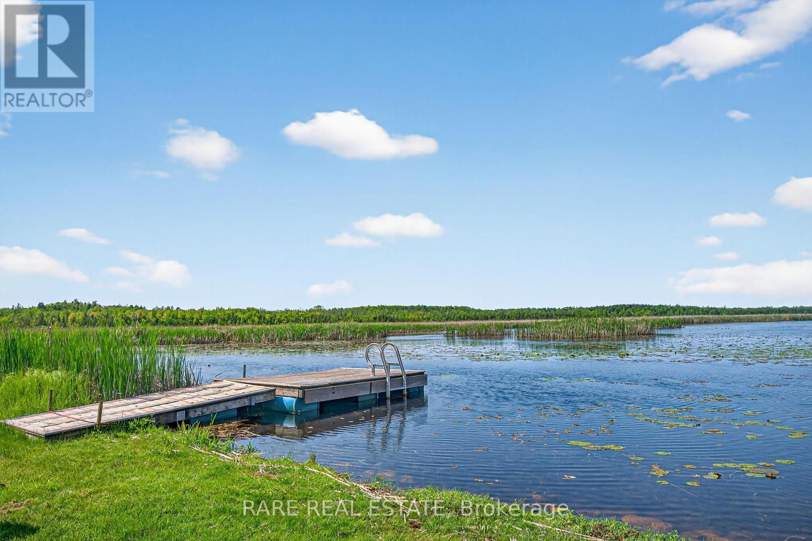 168 Charlore Park Drive, Kawartha Lakes (Emily), Ontario  K0L 2W0 - Photo 38 - X12199257