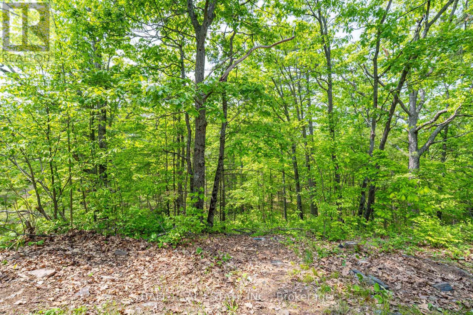 1 Cordova Lake-Water Access, Havelock-Belmont-Methuen (Belmont-Methuen), Ontario  K0L 1Z0 - Photo 35 - X12200248