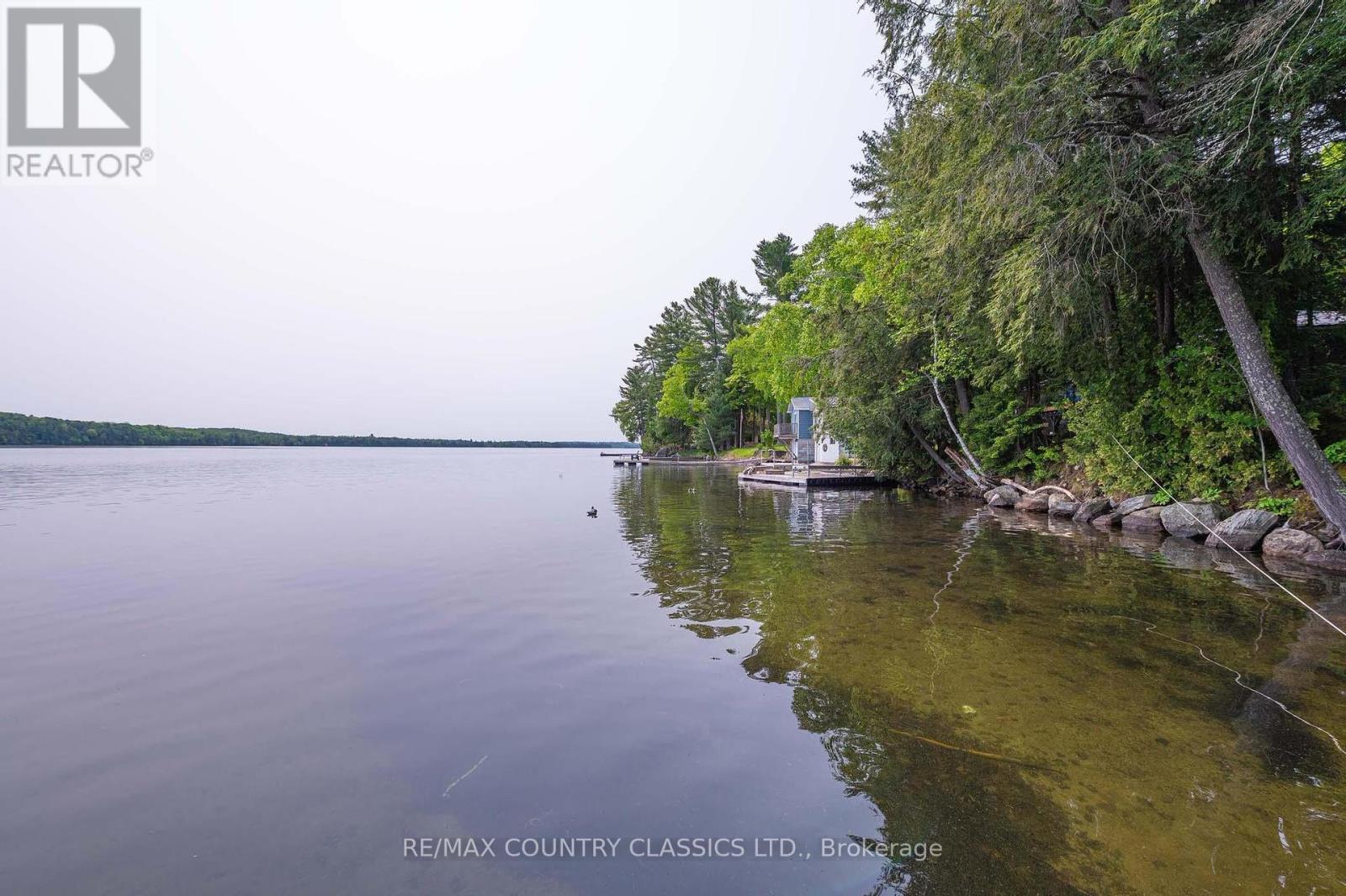 217 Moffat Road, North Kawartha, Ontario  K0L 1A0 - Photo 16 - X12201450