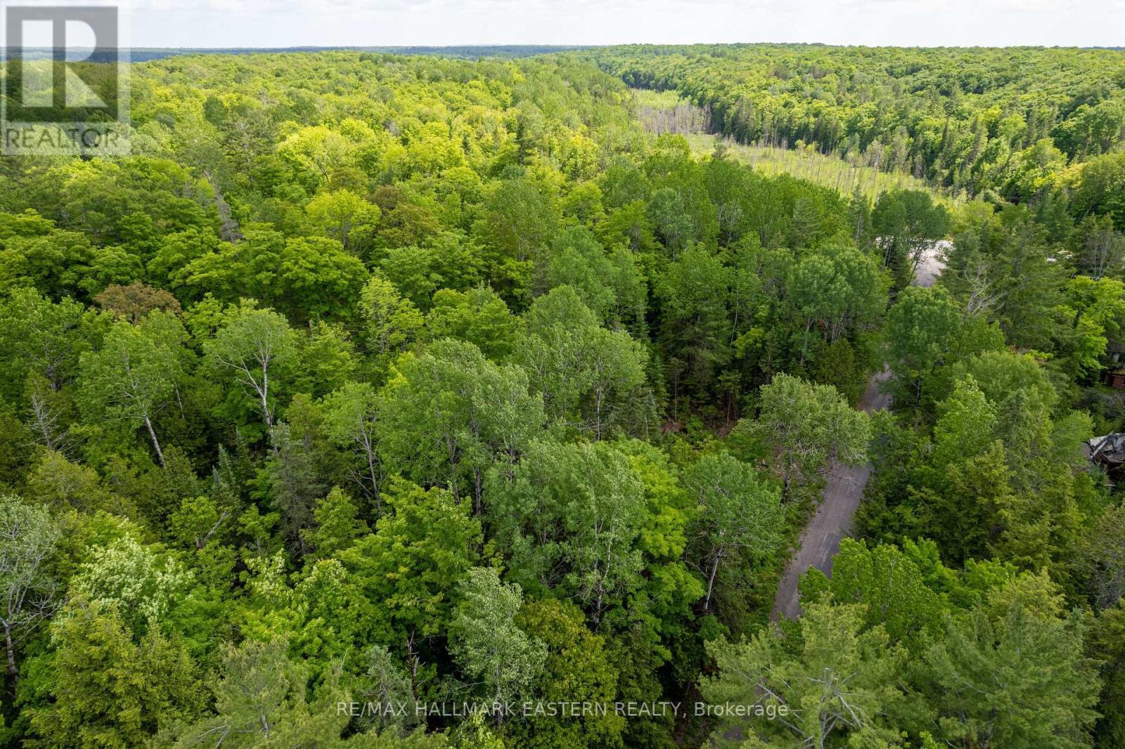00 Johnson Road, North Kawartha, Ontario  K0L 1A0 - Photo 10 - X12201541