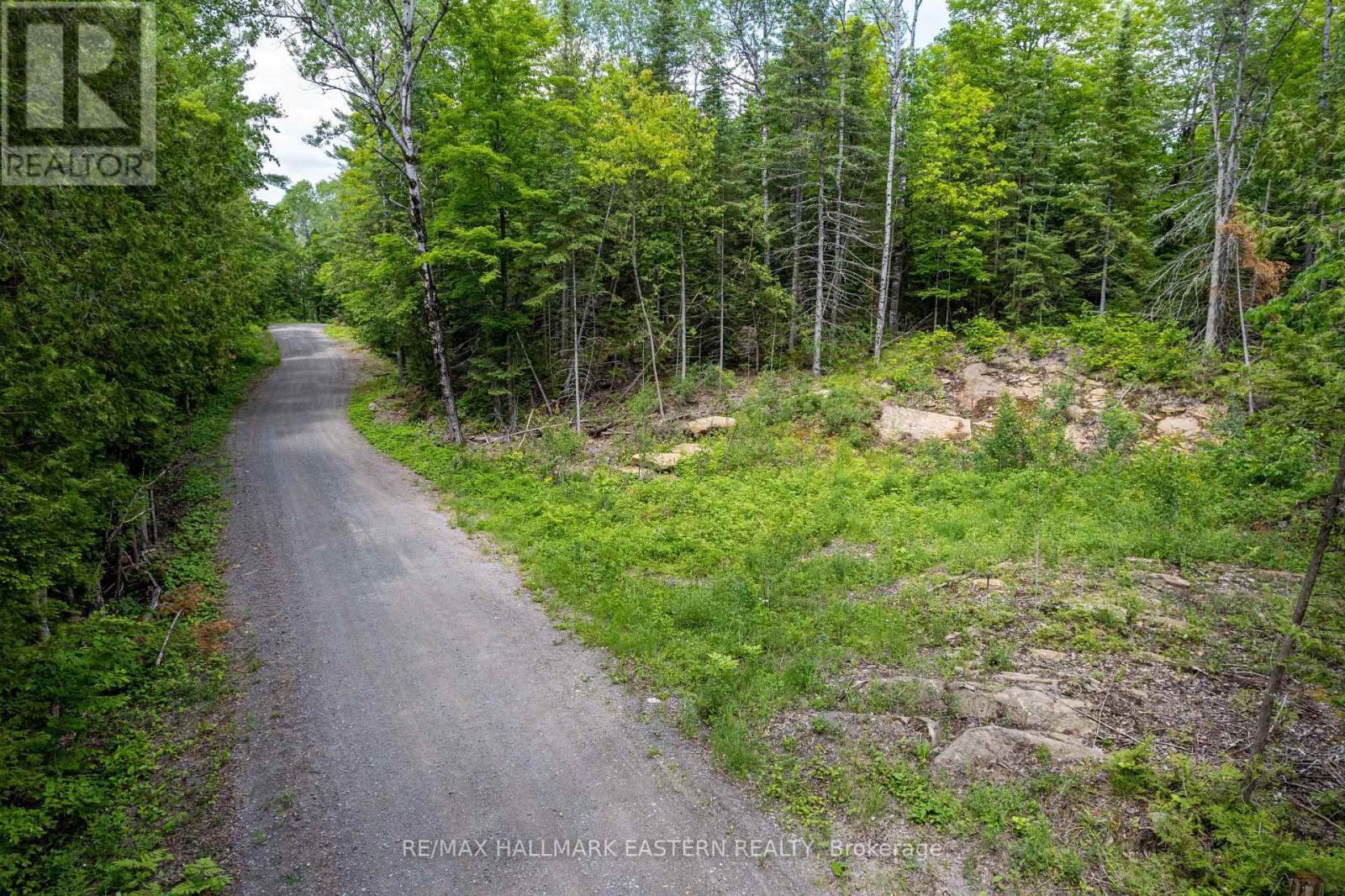 00 Johnson Road, North Kawartha, Ontario  K0L 1A0 - Photo 6 - X12201541