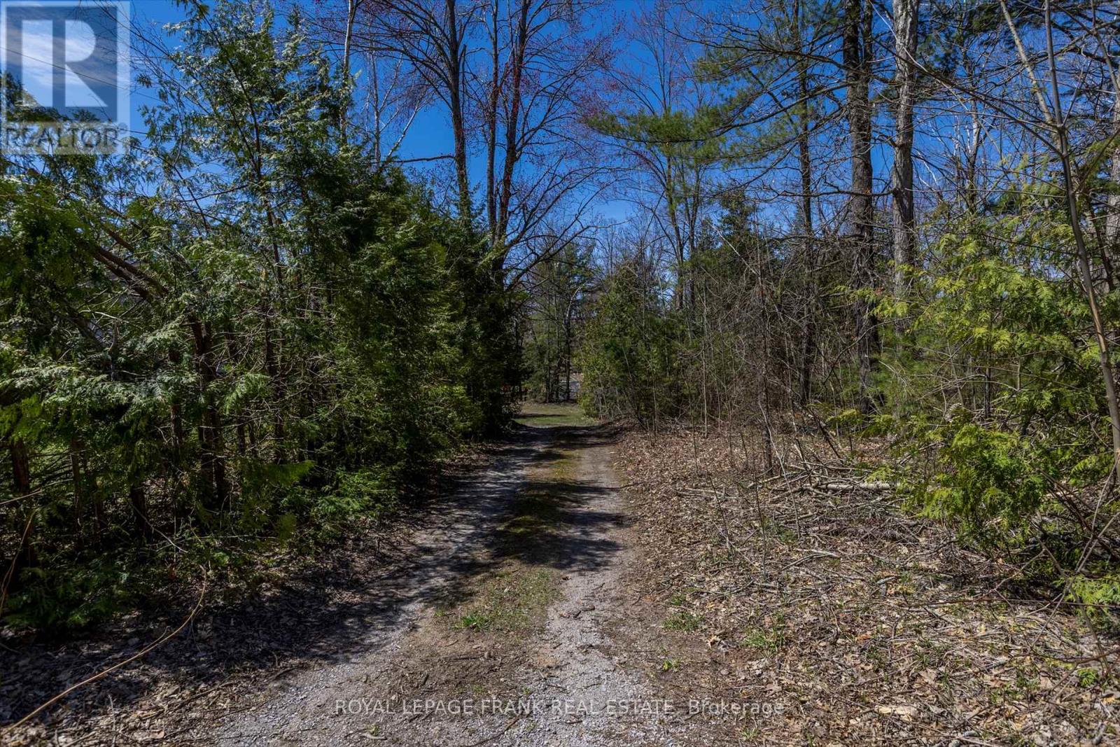 183 Adam & Eve Road, Trent Lakes, Ontario  K0L 1J0 - Photo 5 - X12199403