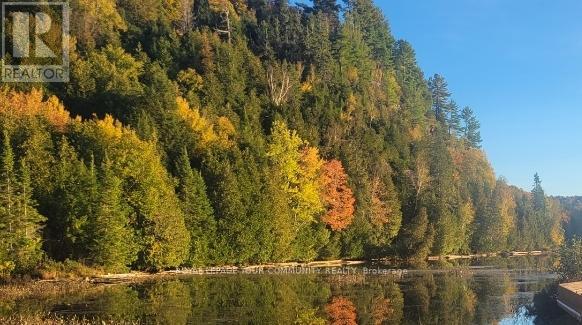 1610 Tusk Trail, Dysart Et Al (Harcourt), Ontario  K0L 1C0 - Photo 2 - X12201802