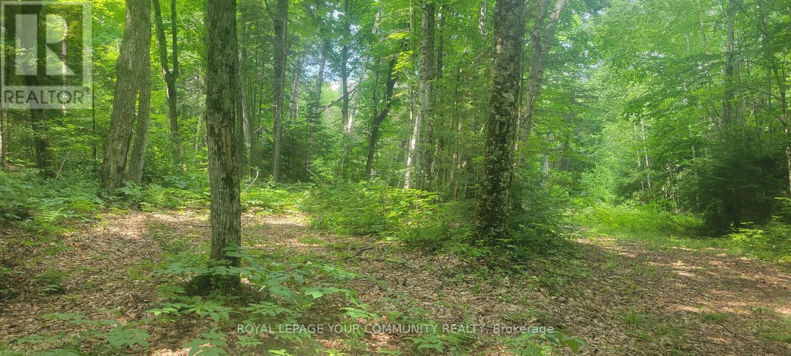 1610 Tusk Trail, Dysart Et Al (Harcourt), Ontario  K0L 1C0 - Photo 7 - X12201802