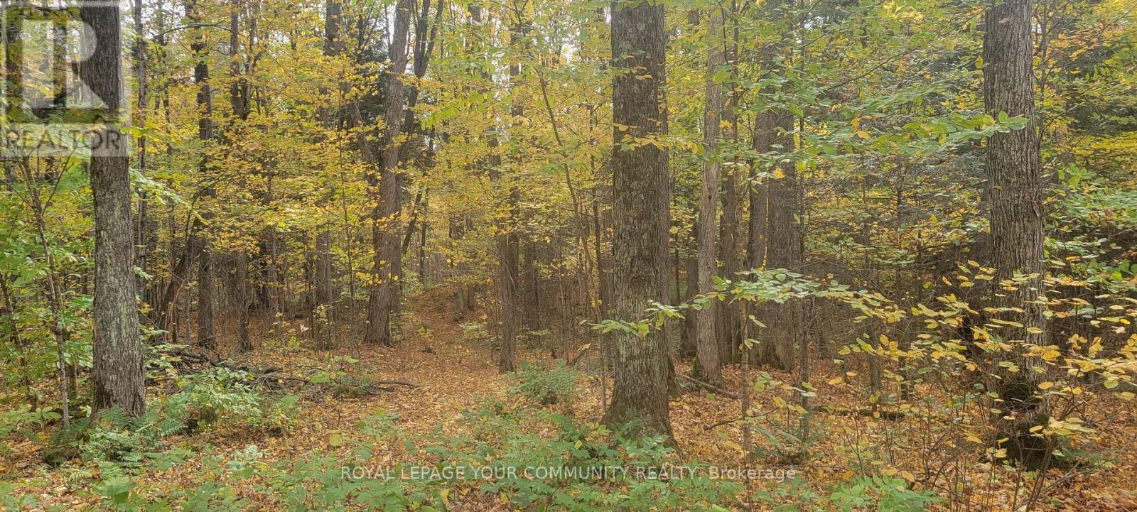 00 Tusk Trail, Dysart Et Al (Harcourt), Ontario  K0L 1C0 - Photo 3 - X12201918