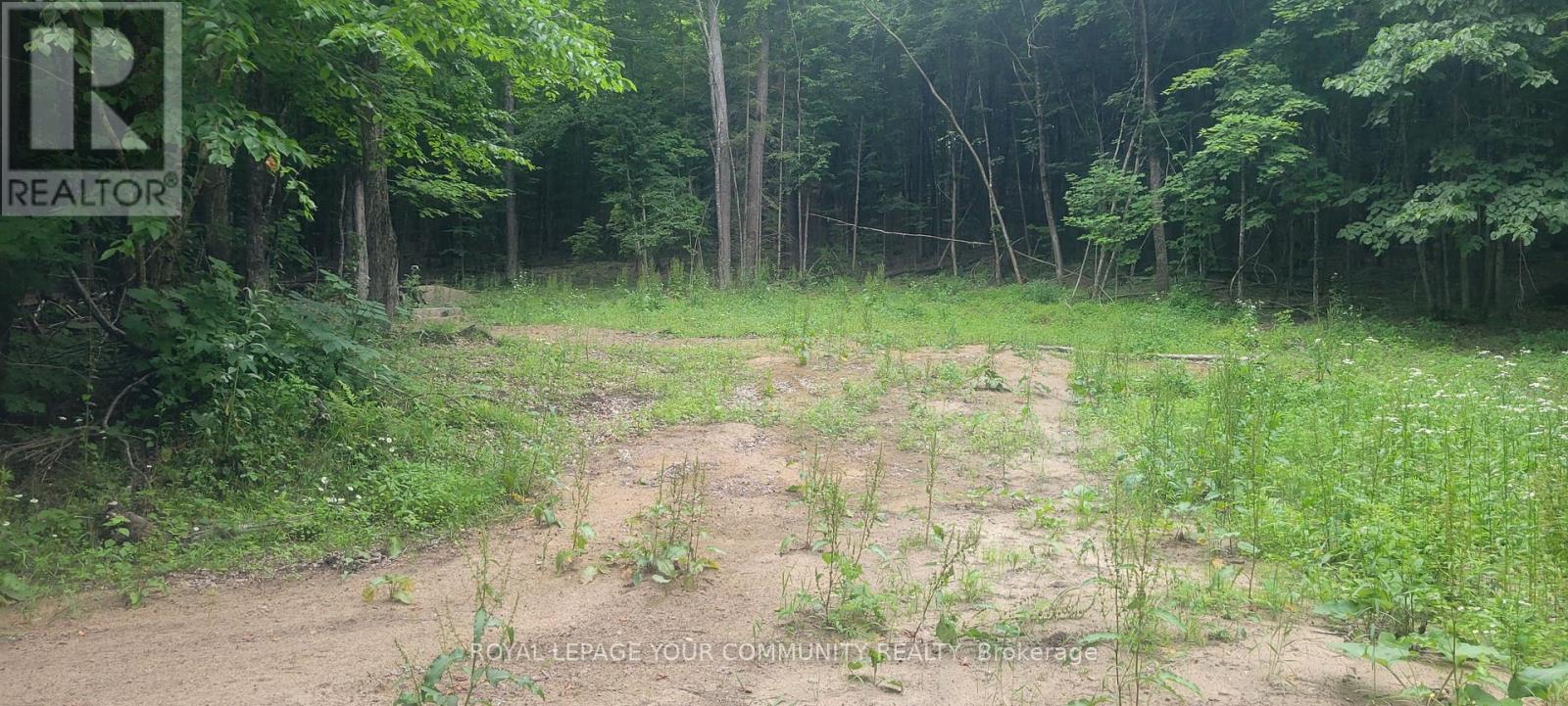 00 Tusk Trail, Dysart Et Al (Harcourt), Ontario  K0L 1C0 - Photo 4 - X12201918