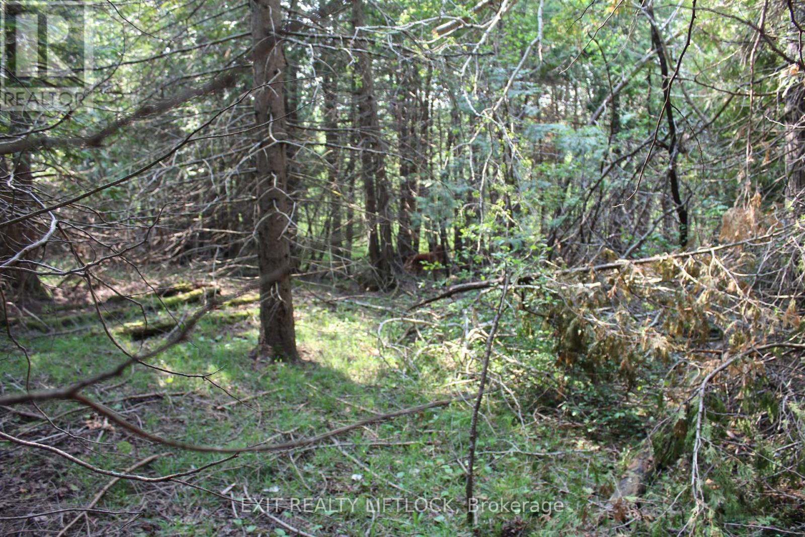 65 Kenrei Road, Kawartha Lakes (Fenelon), Ontario  K9V 4R1 - Photo 46 - X12202507