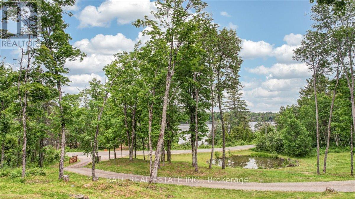 944 Steenburg Lake Road N, Limerick, Ontario  K0L 1W0 - Photo 32 - X12202885