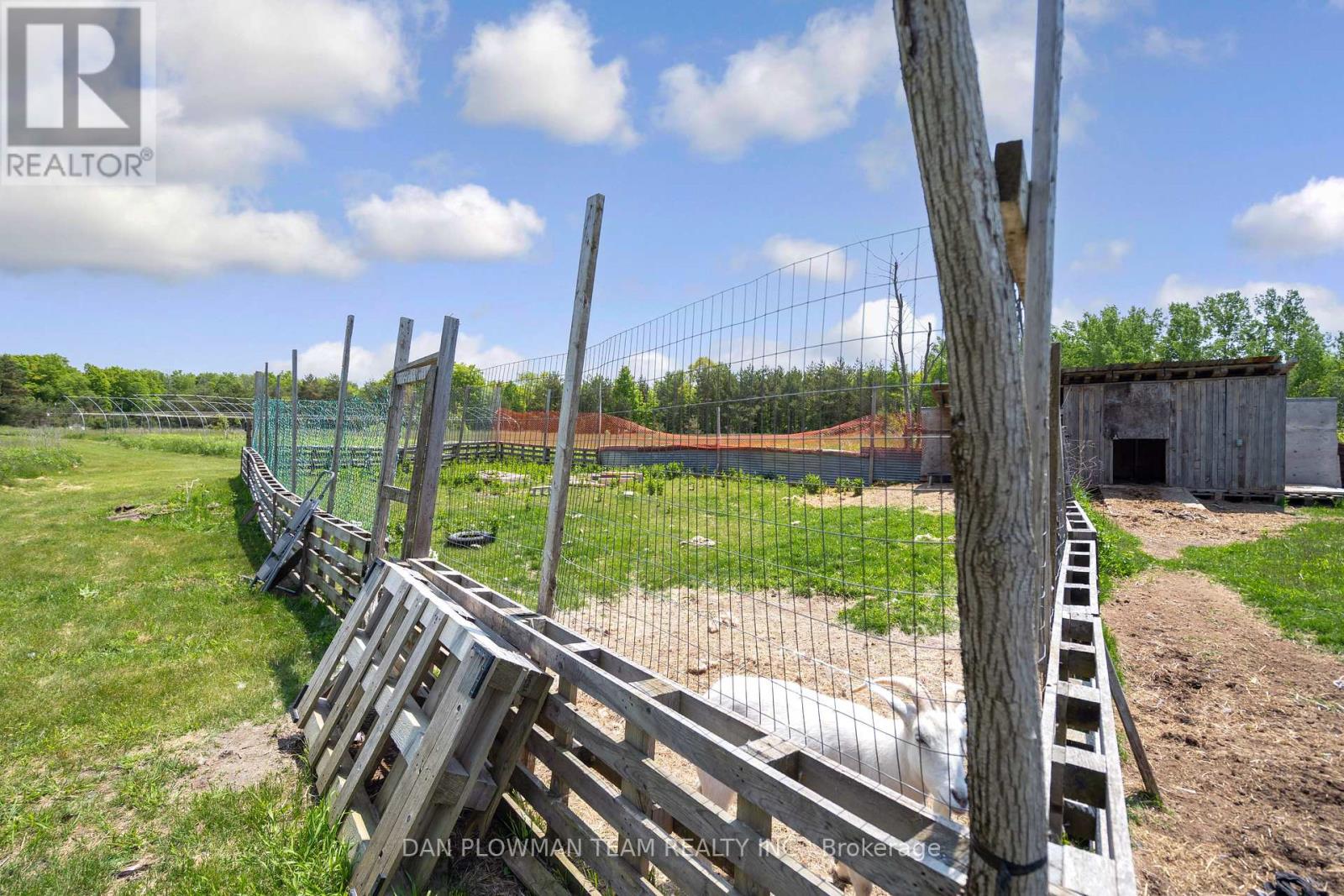 3221 Regional Road 20 Road, Clarington, Ontario  L0A 1K0 - Photo 11 - E12203569