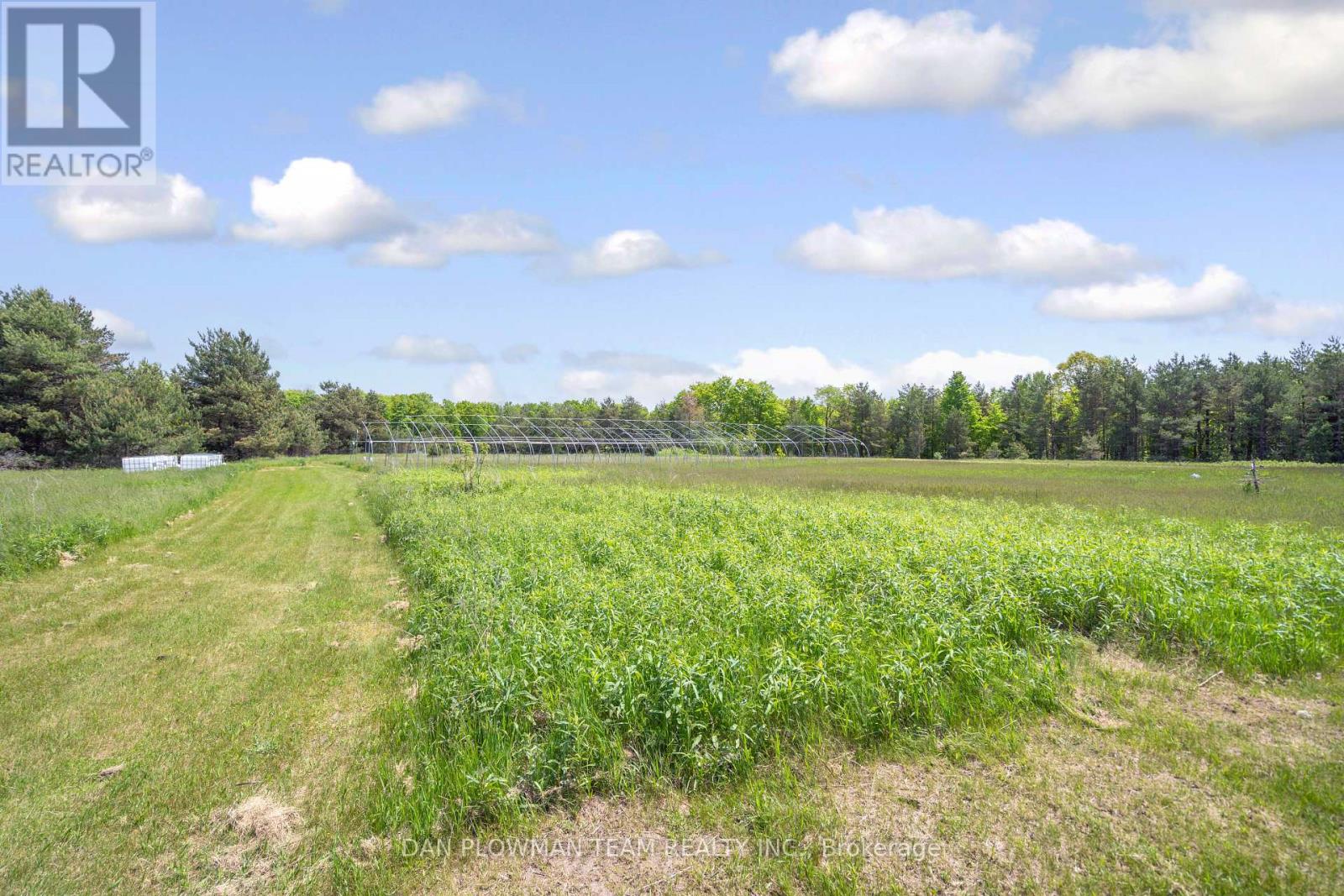 3221 Regional Road 20 Road, Clarington, Ontario  L0A 1K0 - Photo 14 - E12203569