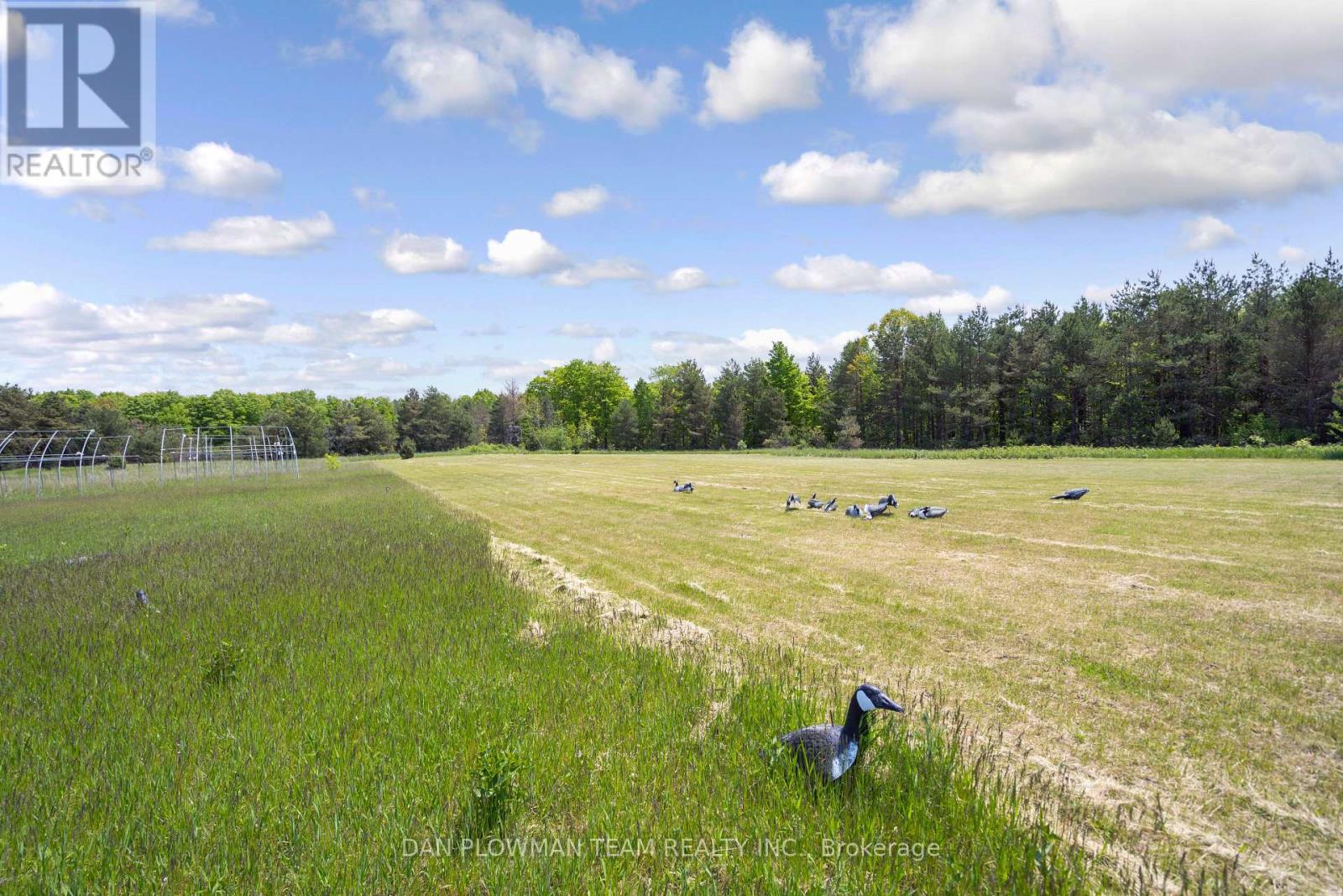3221 Regional Road 20 Road, Clarington, Ontario  L0A 1K0 - Photo 15 - E12203569