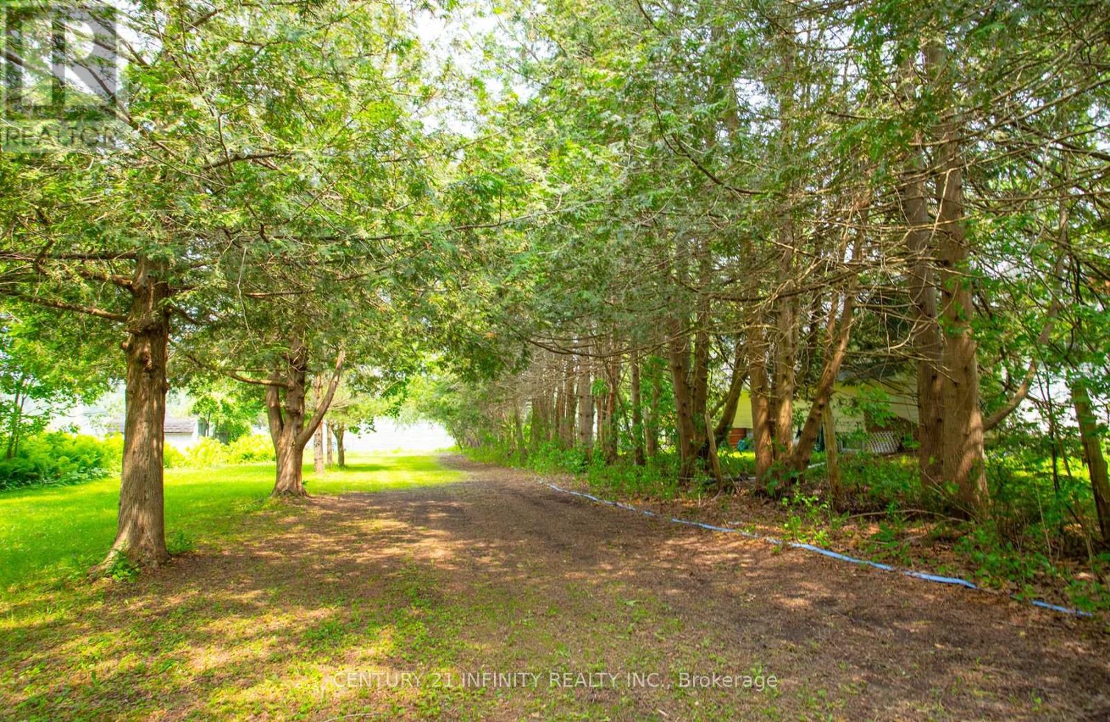66 Cowans Crescent, Kawartha Lakes (Emily), Ontario  K0L 2W0 - Photo 38 - X12205821