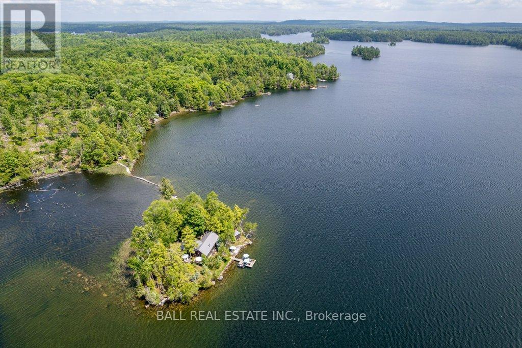 40 Fire Route 89e, North Kawartha, Ontario  K0L 1A0 - Photo 2 - X12207583