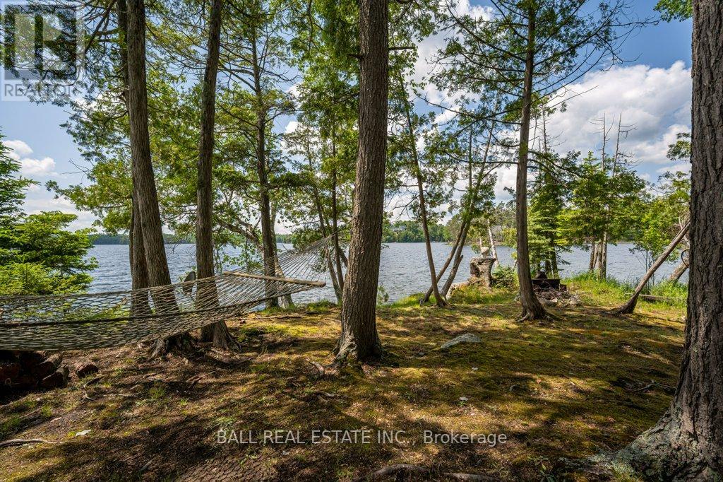 40 Fire Route 89e, North Kawartha, Ontario  K0L 1A0 - Photo 43 - X12207583