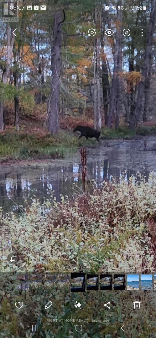 302 Fire Route 93a Route, Havelock-Belmont-Methuen, Ontario  K0L 2H0 - Photo 50 - X12208624