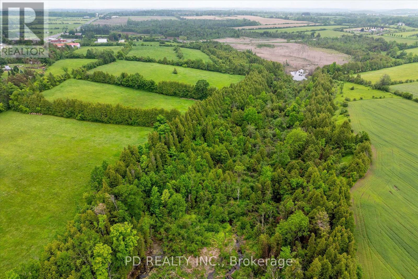 4925 Highway 7, Kawartha Lakes (Emily), Ontario  K0L 2W0 - Photo 31 - X12208789