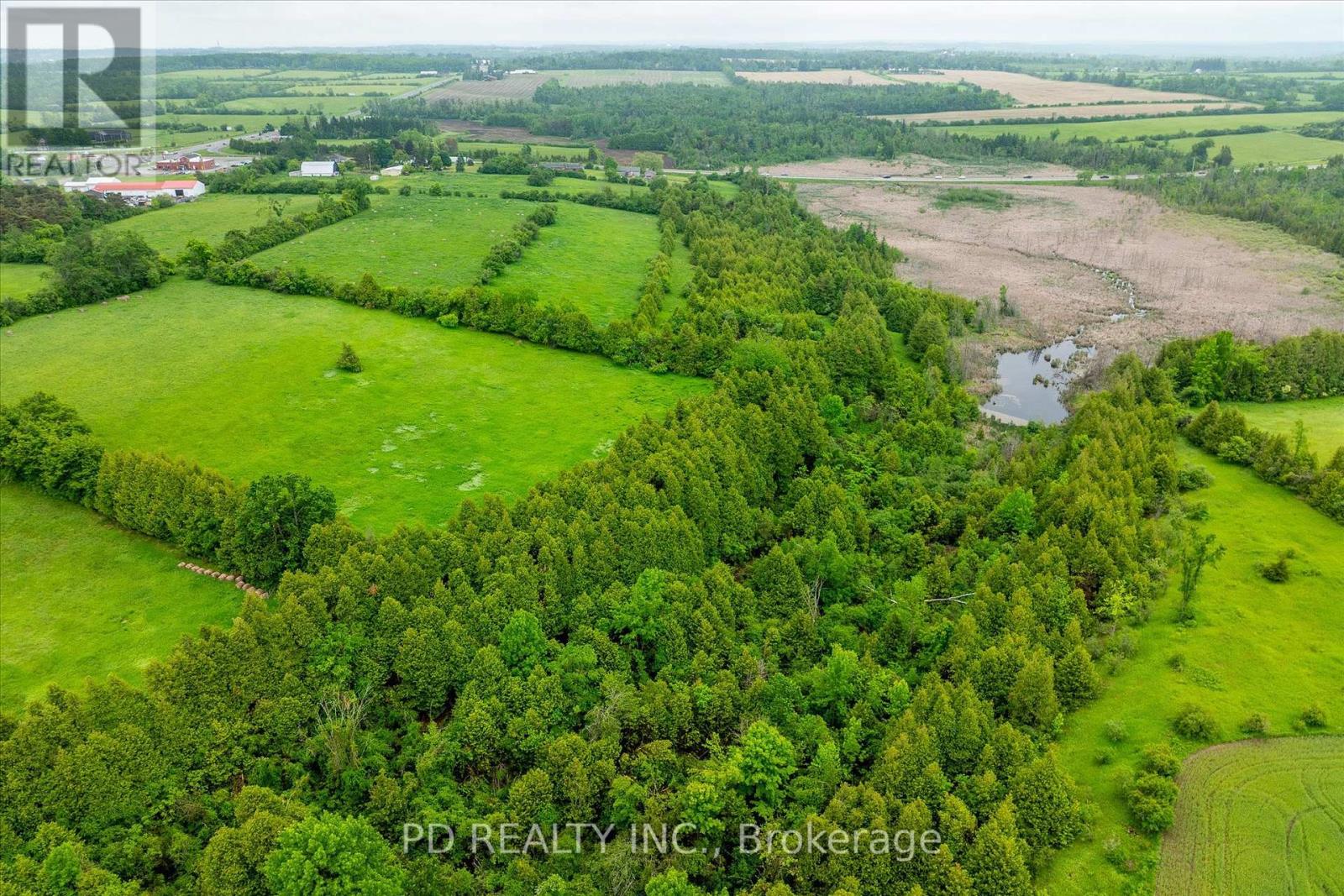 4925 Highway 7, Kawartha Lakes (Emily), Ontario  K0L 2W0 - Photo 32 - X12208789