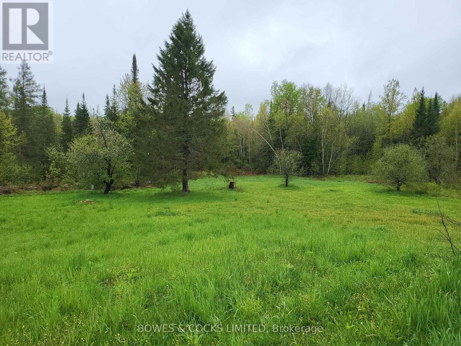 447 Frantz Road, Hastings Highlands (Wicklow Ward), Ontario  K0L 2S0 - Photo 37 - X12208891